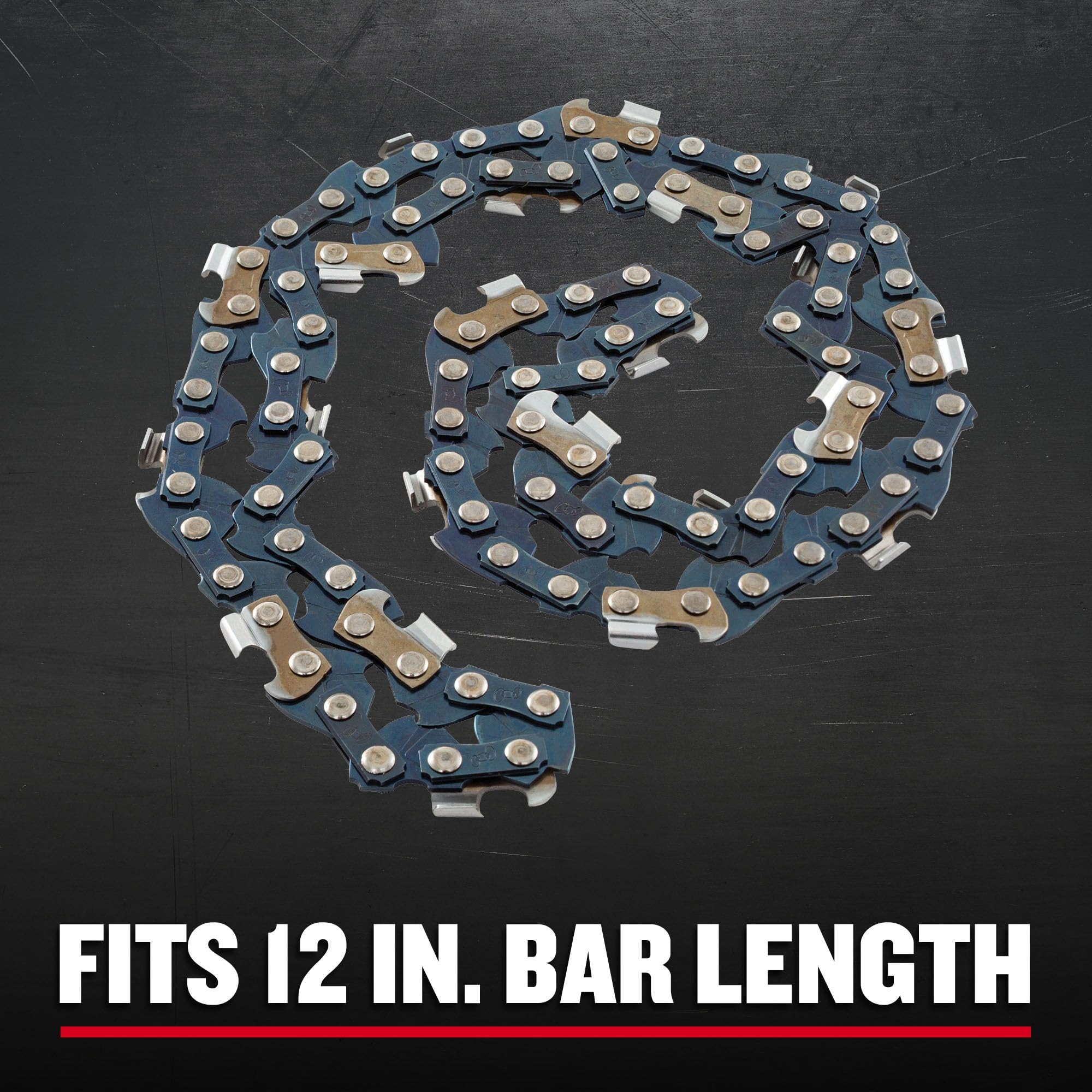 CRAFTSMAN Chainsaw Chain, 12-Inch (CMZCSC12) : Amazon.ca: Patio